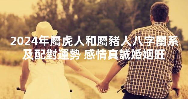 2024年屬虎人和屬豬人八字關系及配對運勢 感情真誠婚姻旺